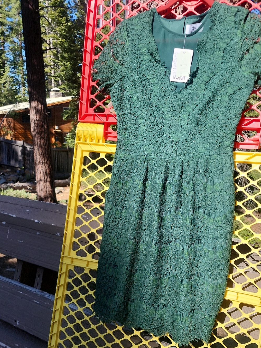 DV by Dolce Vita Dark Green Lace Fit-and-Flare Mini Dress....absolutely stunning